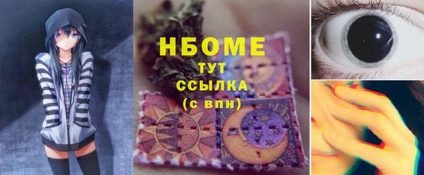 твердый Надым