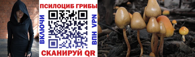 Псилоцибиновые грибы Cubensis Заринск