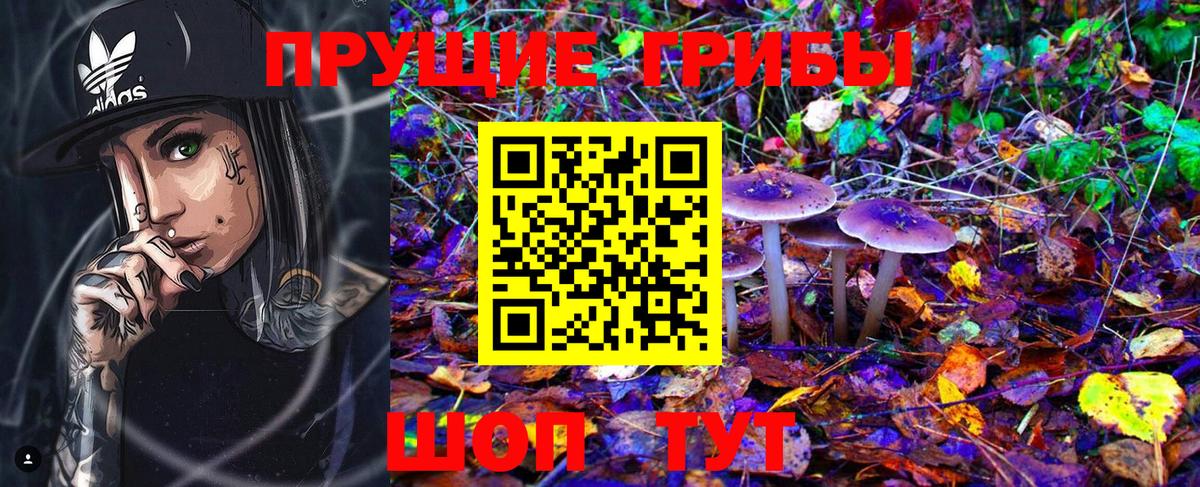 Псилоцибиновые грибы Psilocybine cubensis Заринск