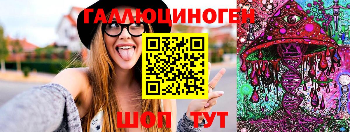 Псилоцибиновые грибы Psilocybine cubensis  Заринск 